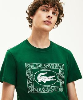 CAMISETA LACOSTE ESTAMPADO DE COCODRILO 132 VERDE