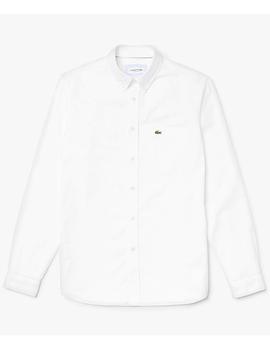 CAMISA OXFORD REGULAR FIT BLANCA