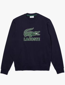 SUDADERA LACOSTE AZUL MARINO CON LOGO CRAQUELADO