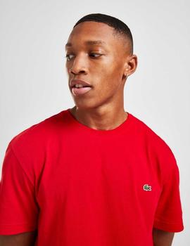 CAMISETA BÁSICA LACOSTE ROJA