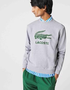 SUDADERA LACOSTE GRIS CON LOGO CRAQUELADO