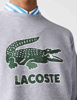 SUDADERA LACOSTE GRIS CON LOGO CRAQUELADO