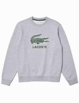 SUDADERA LACOSTE GRIS CON LOGO CRAQUELADO