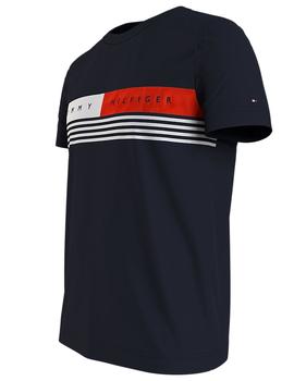 CORP CHEST STRIPE TEE DESERT SKY