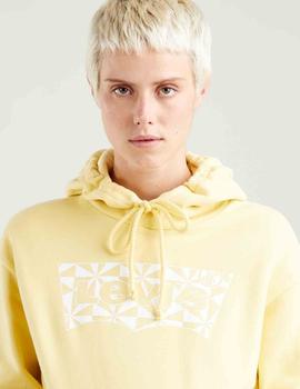 GRAPHIC STANDARD HOODIE PINEAPPLE SLICE