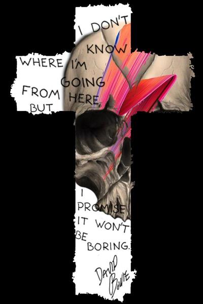 Gallery a07902 slywlbmo