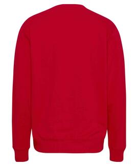 SUDADERA ENTRY GRAPHIC REGULAR FIT ROJA