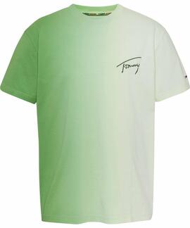 CAMISETA CLASSIC DIP DYE SIGNATURE VERDE DEGRADÉ