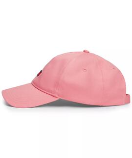 GORRA ELONGATED FLAG ROSA