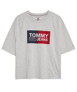 TJW BOX LOGO TEE CROPPED FIT LT GREY HTR