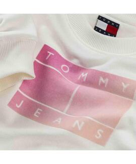 SUDADERA GRADIENT FLAG RELAXED FIT COLOR CRUDO