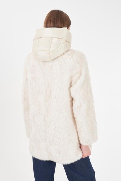 Gallery a14413 ce00sr38