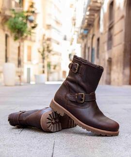 FAUST C29 NAPA GRASS CHESTNUT / CASTAÑO