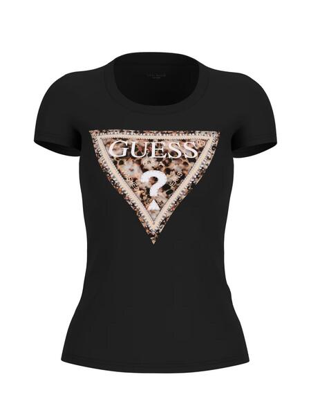 Gallery a14995 f2pynzq0