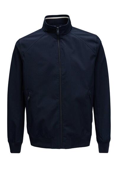 Gallery a15137 oyygbnqa