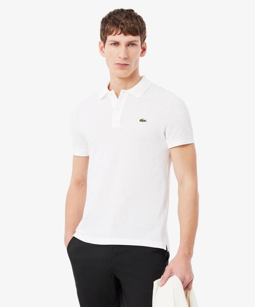 Gallery a06398 zcrjsefh