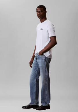 CAMISETA WHOLESALE JEANS GRAPHICS REGULAR FIT PLEI