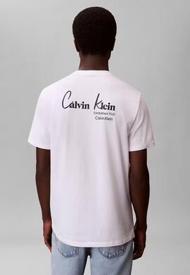 CAMISETA WHOLESALE JEANS GRAPHICS REGULAR FIT BRIG