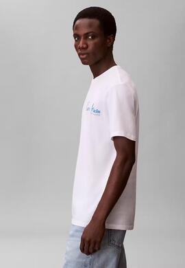 CAMISETA WHOLESALE JEANS GRAPHICS REGULAR FIT BRIG