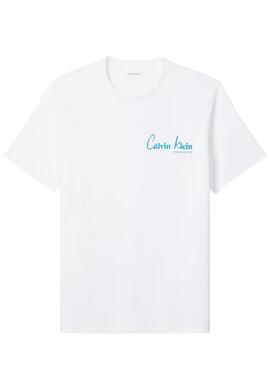 CAMISETA WHOLESALE JEANS GRAPHICS REGULAR FIT BRIG