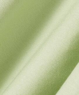 CAMISA LACOSTE REGULAR FIT OXFORD VERDE