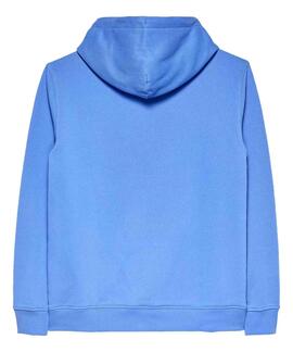 SUDADERA CON CAPUCHA REGULAR FIT LINEAR LOGO BLUE