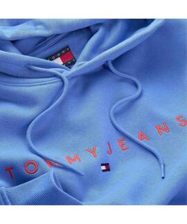 SUDADERA CON CAPUCHA REGULAR FIT LINEAR LOGO BLUE