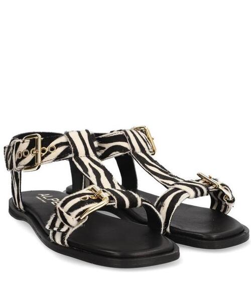 Gallery a15957 erwktoxd